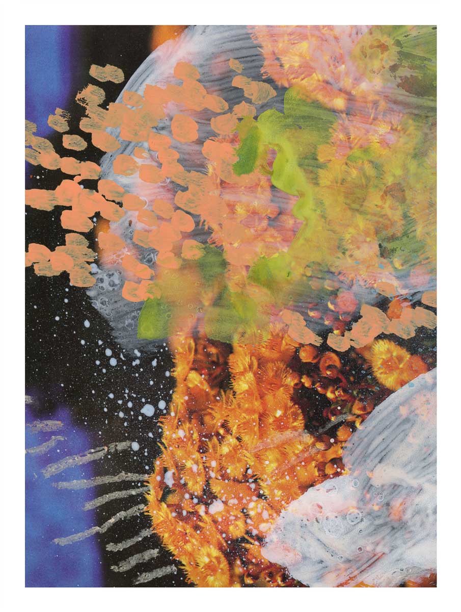 'Wildflowers 11' Limited Edition Print – Second Edition
