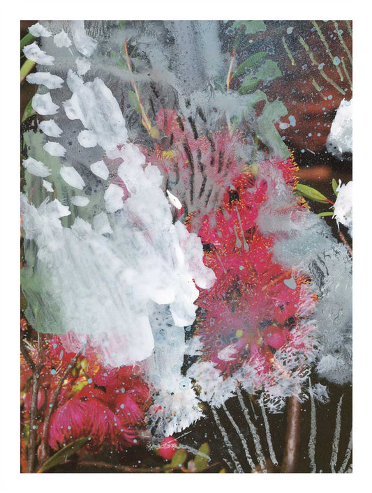 'Wildflowers 1' Limited Edition Print