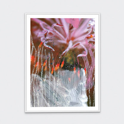 'Wildflowers 4' Limited Edition Framed Print